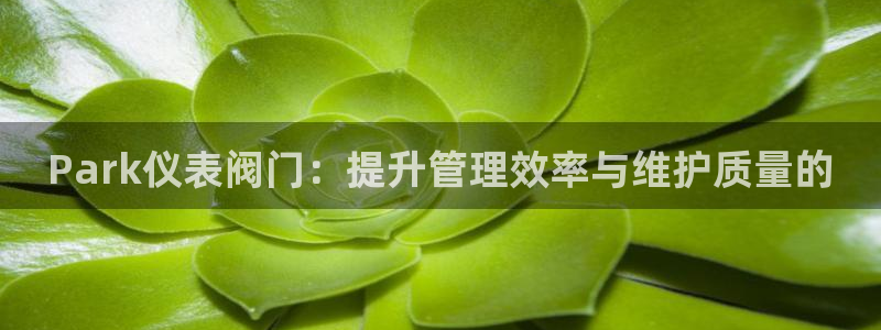 云顶国际游戏网址