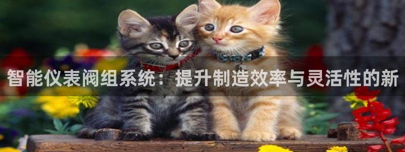 云顶国际25万没法提现