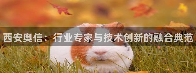 云顶国际app下载安装