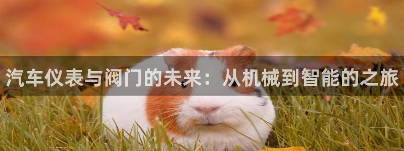 云顶国际app官网