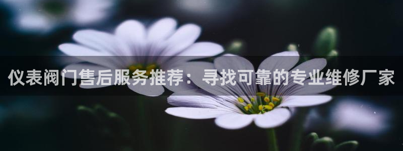 云顶国际服怎么更新