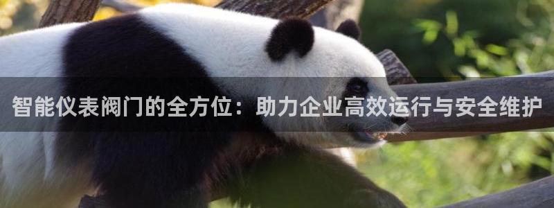 云顶集团总部在哪里