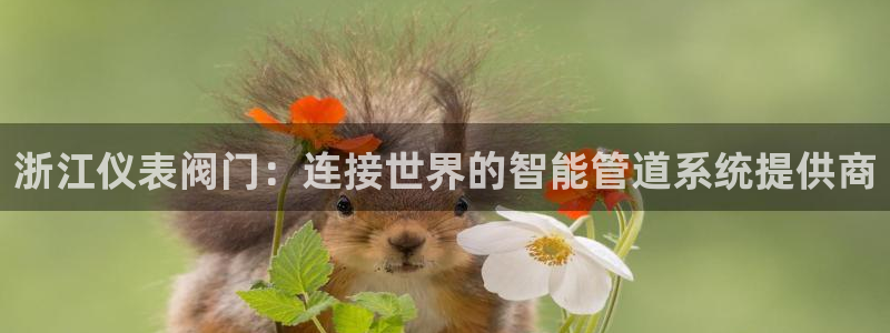 云顶国际注册了有什么影响