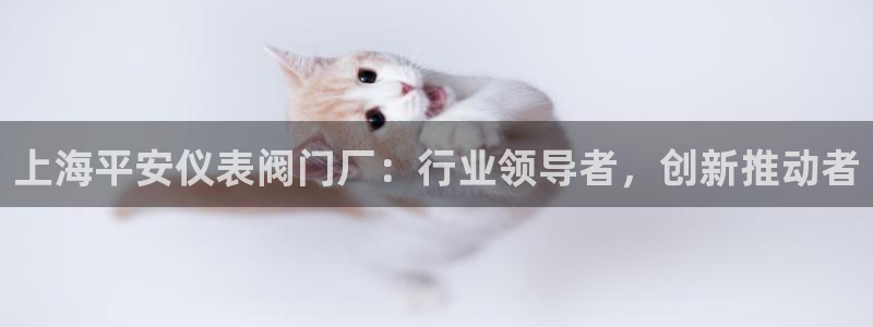 云顶集团官网登录入口下载安装