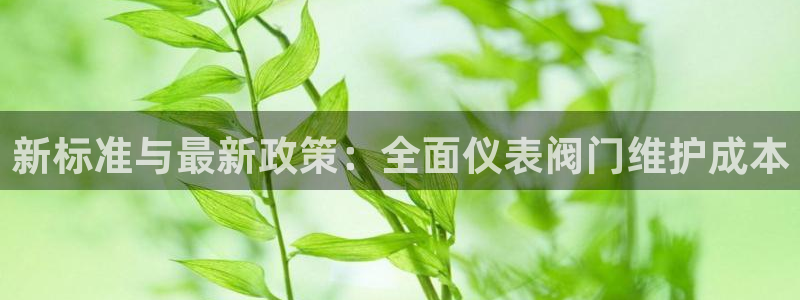 云顶国际平台游戏官网