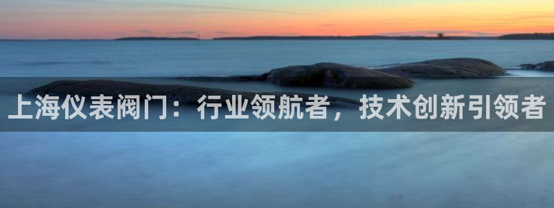 云顶电子游戏平台