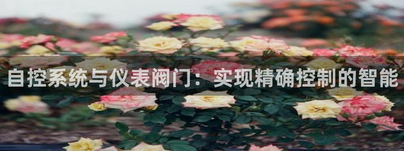 云顶国际集团游戏会不会黑钱