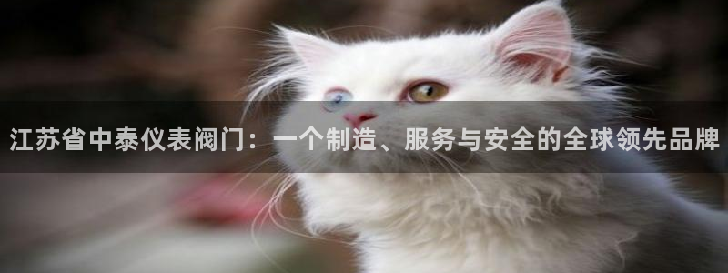 云顶国际大酒店是几星级