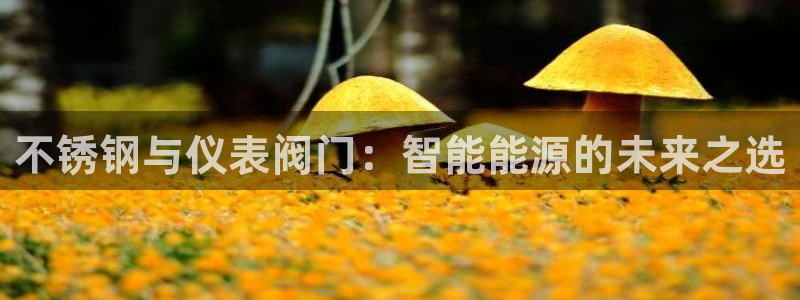 云顶国际服更新时间