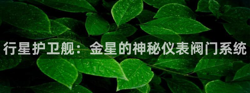 云顶国际在线登录不上