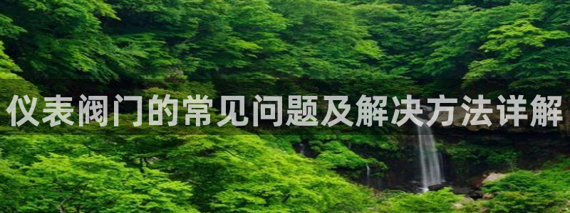 云顶国际服服务端错误