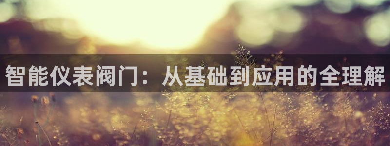 云顶平台的登录入口