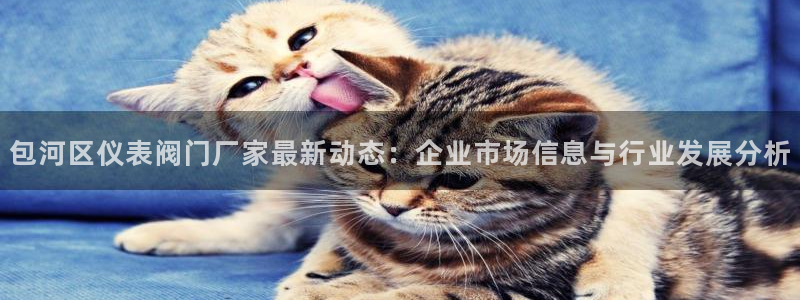 云顶国际注册了有什么影响