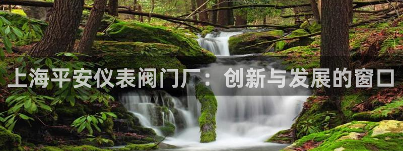 云顶t00