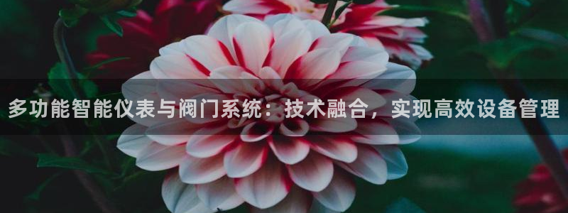 云顶国际是黑台吗还是白台