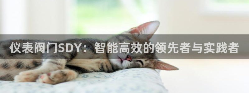 云顶国际ktv怎么样