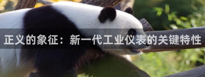 云顶国际高尔夫俱乐部官网