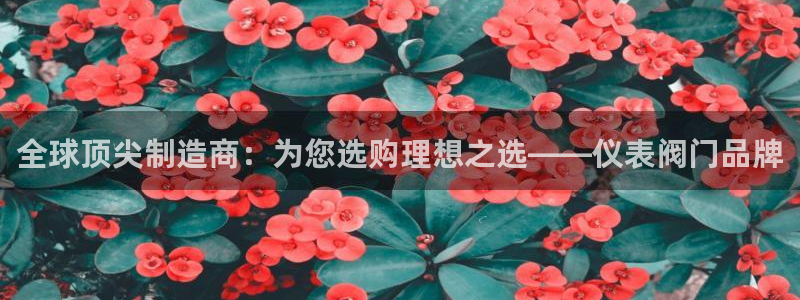 云顶7610最新