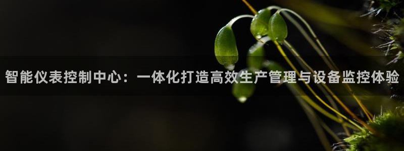 云顶集团有限公司