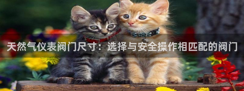 云顶国际二手房出售最新信息