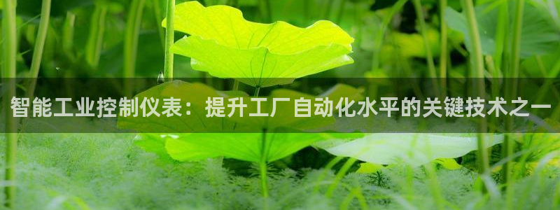 云顶1026