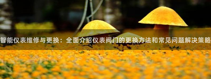 云顶国际(集团)开发实业有限公司