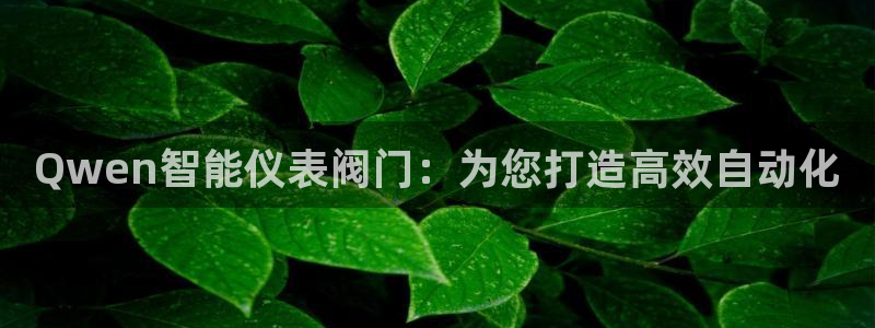 云顶国际部