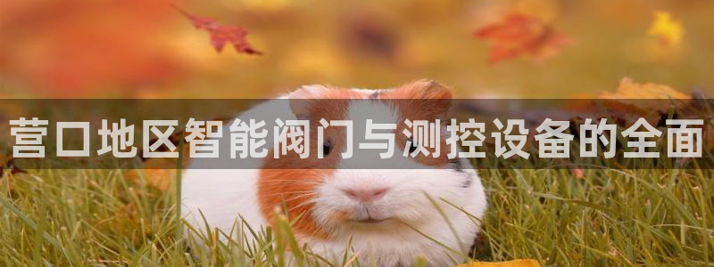 云顶国际集团游戏