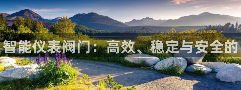 云顶国际平台违法吗?