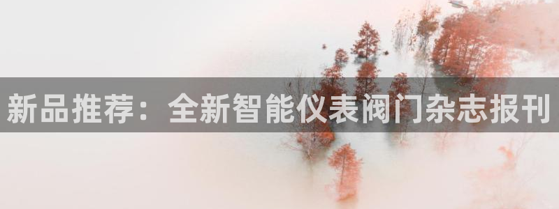 云顶网站是多少