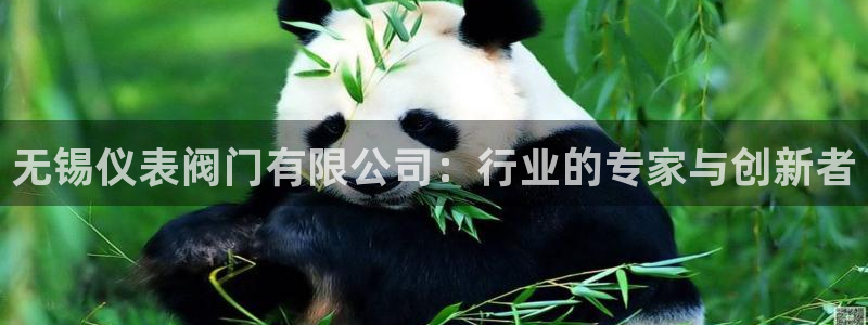 云顶国际高中学费多少