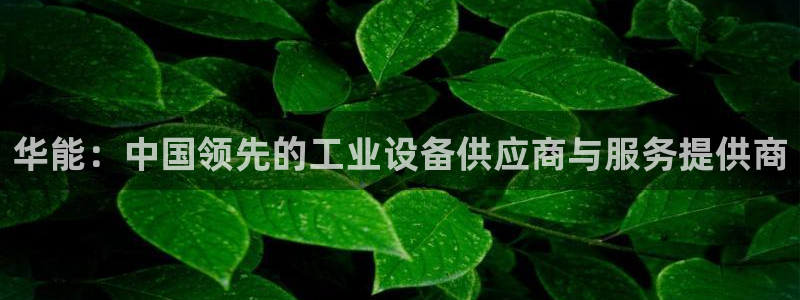 云顶集团中国区