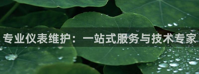 云顶国际平台游戏官网