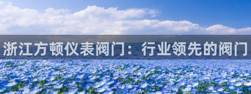 云顶国际服跨区数据
