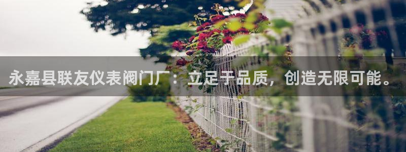 云顶dj