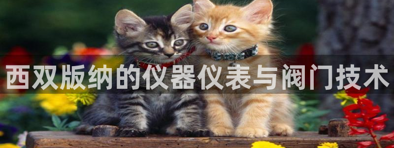 云顶vn