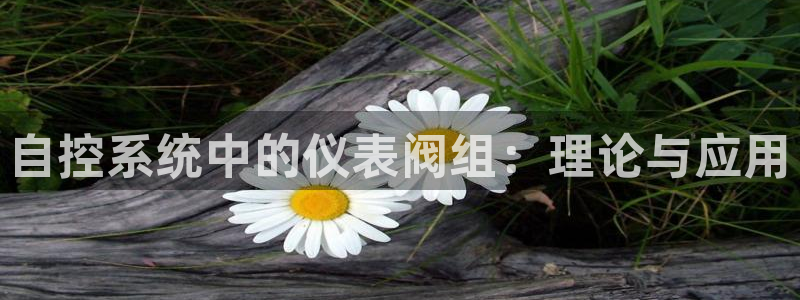 yd云顶国际