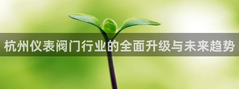 云顶国际足球app下载安卓