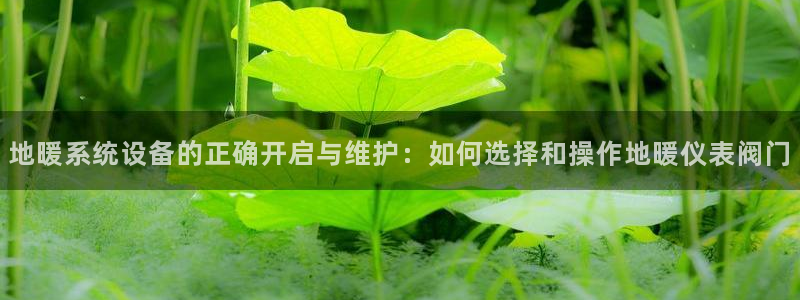 云顶国际服什么时候更新s10.5